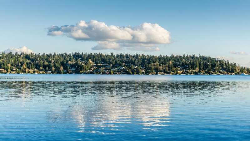 Rest of Seattle and Beyond
